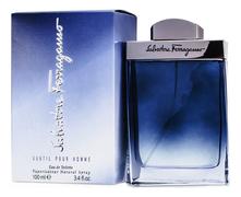 Salvatore Ferragamo Subtil Pour Homme туалетная вода 100мл