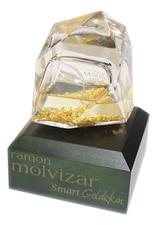 Ramon Molvizar Smart Goldskin парфюмерная вода 75мл уценка