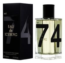 Iceberg Eau de pour homme туалетная вода 100мл