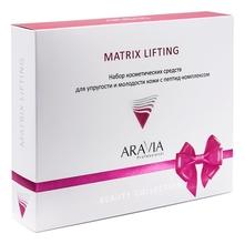 Aravia Набор Matrix Lifting (пенка д/умывания Snail Foam Cleanser 160мл + крем д/лица 3D Anti-wrinkle Lifting Cream 100мл + крем-уход д/контура глаз и